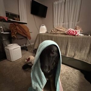 Meet your Posher, Halie